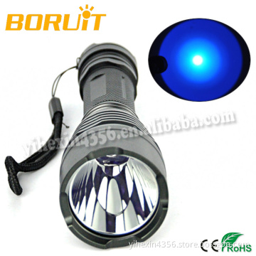 Boruit Most Updated Strong Blue Light Flashlight for Fishing Ourdoot